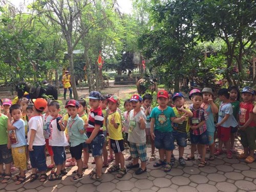 Lớp mẫu giáo nhỡ B1 trường mầm non Phúc Đồng hào hứng tham gia chuyến tham quan dã ngoại tại trang trại giáo dục Erahouse.